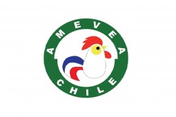Nueva directiva de AMEVEA Chile