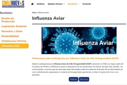 Activo rol de Chilehuevos ante contingencia por influenza aviar