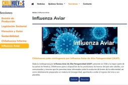 Activo rol de Chilehuevos ante contingencia por influenza aviar