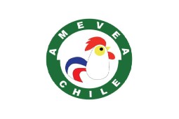 Nueva directiva de AMEVEA