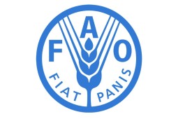 La FAO llama a aumentar la colaboración frente a la influenza aviar