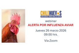 Chilehuevos realiza exitoso webinar sobre prevención de influenza aviar