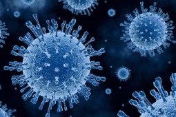 Detectan focos de influenza aviar en tres planteles comerciales de ponedoras