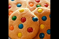 Galletas de chubi