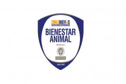 Pronto estará disponible sistema de certificación en bienestar animal