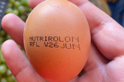 Se registra incremento en el contrabando de huevos bolivianos