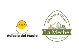 Chilehuevos cuenta con dos nuevos asociados