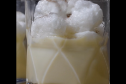 LECHE NEVADA