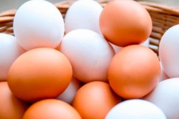 Con bajas en producción y consumo per cápita de huevos cierra el año 2022