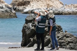 El SAG elevó su nivel de alerta por la influenza aviar altamente patógena