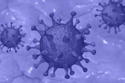 Activa labor de Chilehuevos en periodo de pandemia por COVID-19
