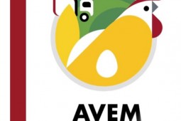 AVEM 2021
