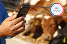 SAG habilita funcionalidad para facilitar la Declaración de Existencia Animal