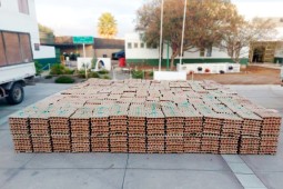 Incautan en Alto Hospicio 72 mil unidades de huevos