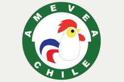 AMEVEA realiza webinar sobre IAAP con apoyo de Chilehuevos y FAVET