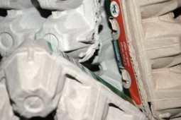 Recuerdan realizar informe anual de envases y embalajes puestos en el mercado