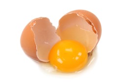 Instan a autoridades a verificar cumplimiento de normas sanitarias en huevos importados