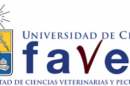 Feria laboral FAVET