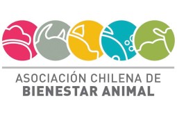 Nueva directiva de la Asociación Chilena de Bienestar Animal